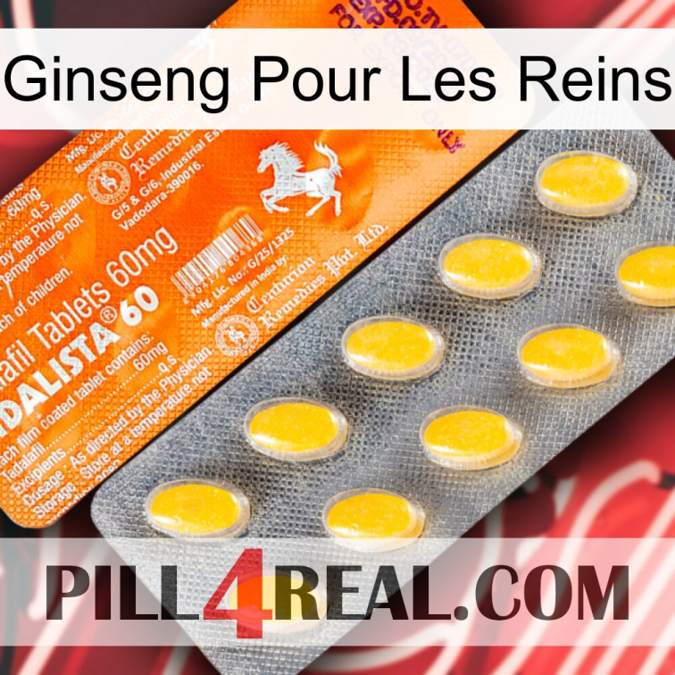 Ginseng For Kidney new05